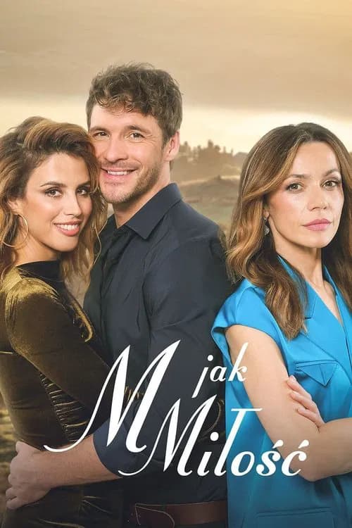 L for Love poster