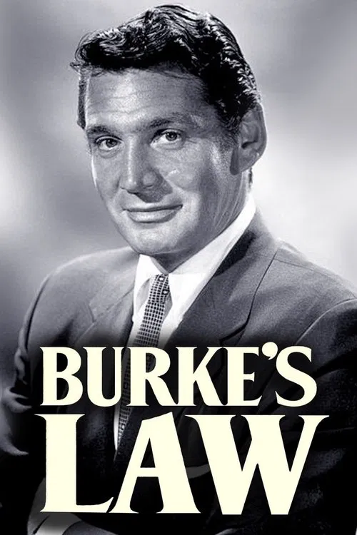 Burke's Law poster