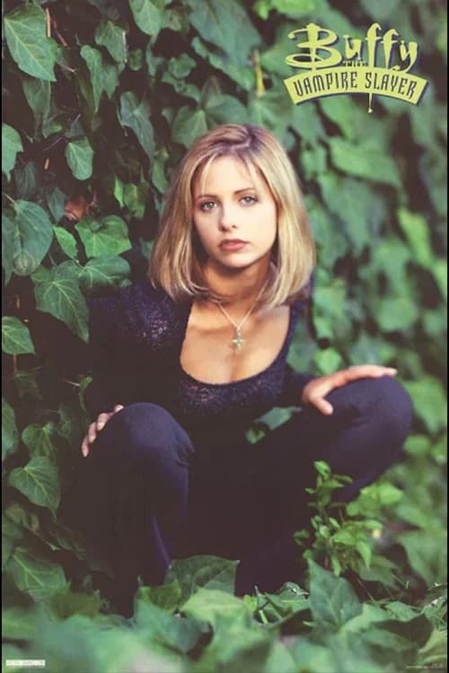 Buffy the Vampire Slayer poster