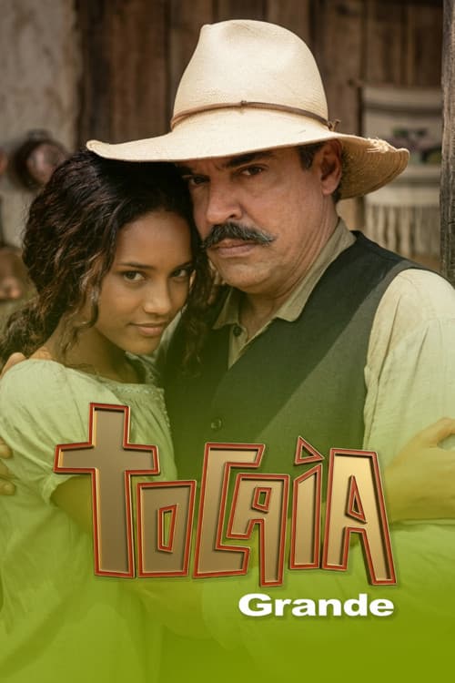 Большая засада poster