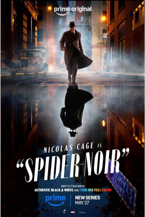 Spider-Noir poster