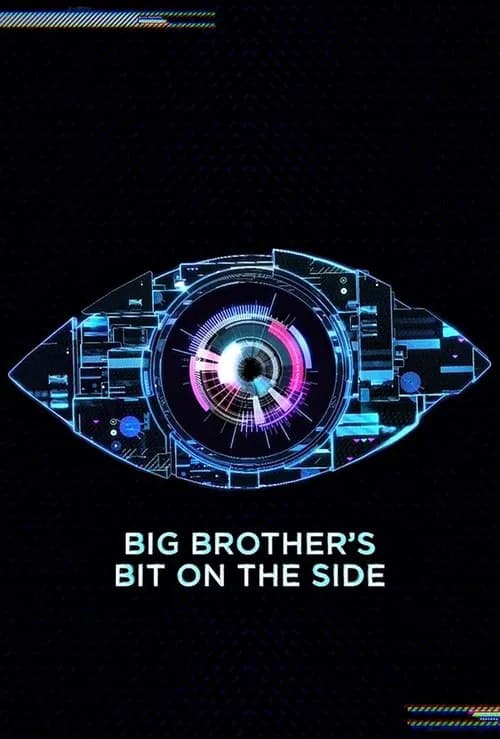 Big Brother's Bit on the Side poster