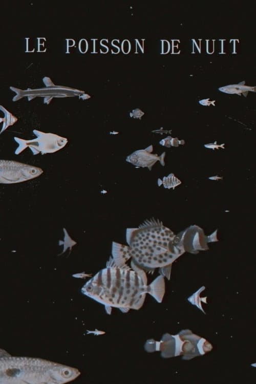 The Night Fish poster